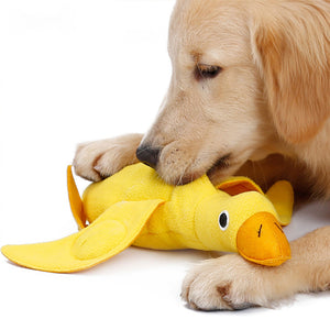 Duck Plush Dog Squeaky Toy