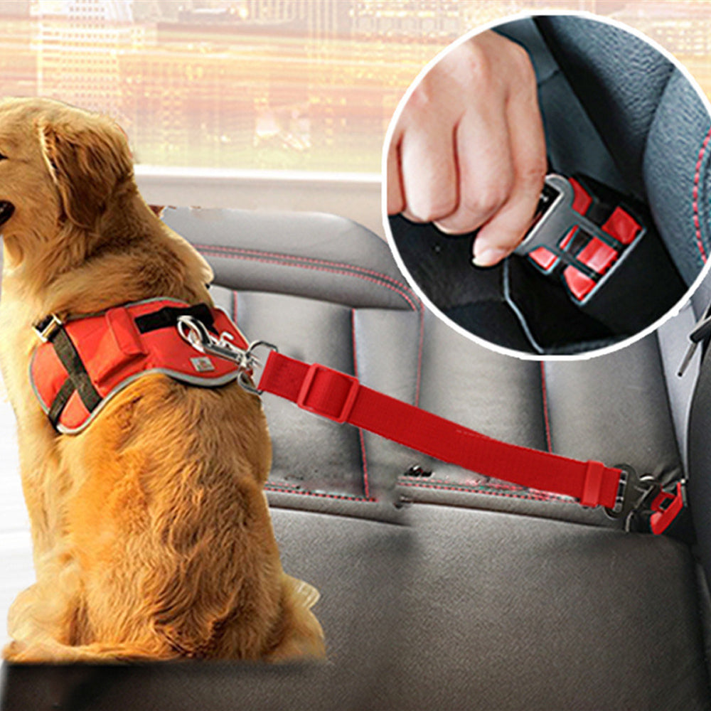 Pet Seatbelt