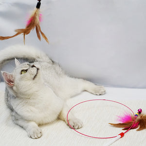 Active Feather Teaser Cat Toy