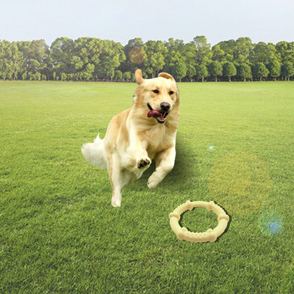 Dog Durable Chew Toy