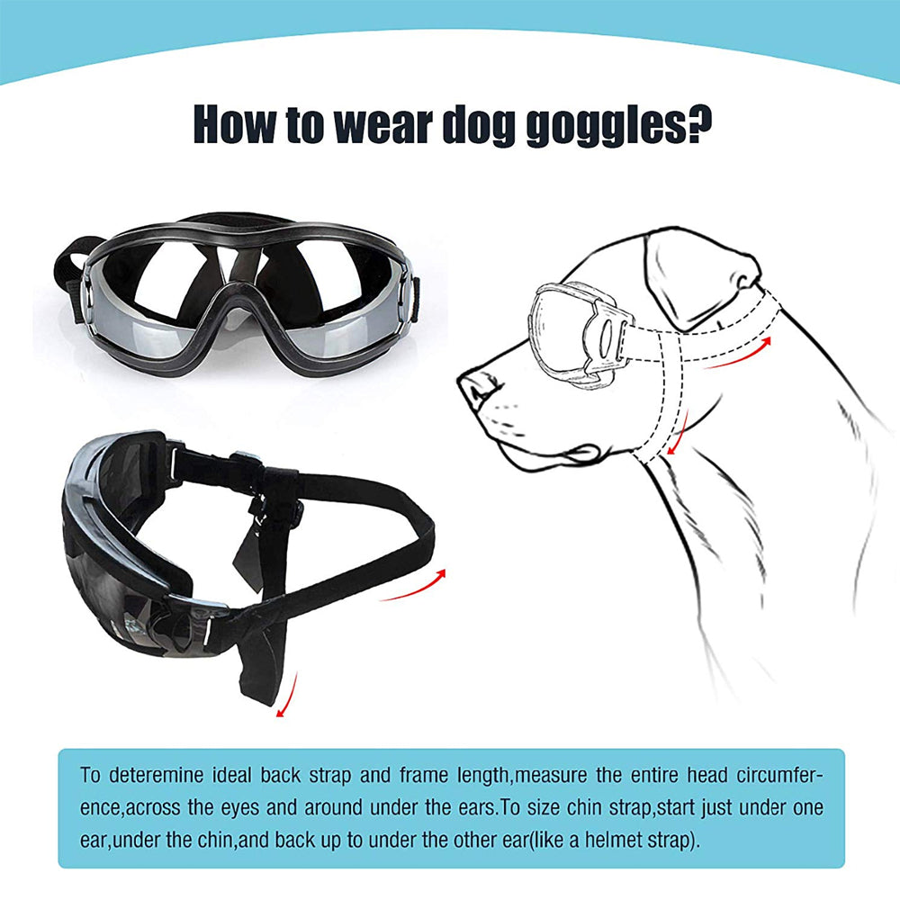 Dog Goggles